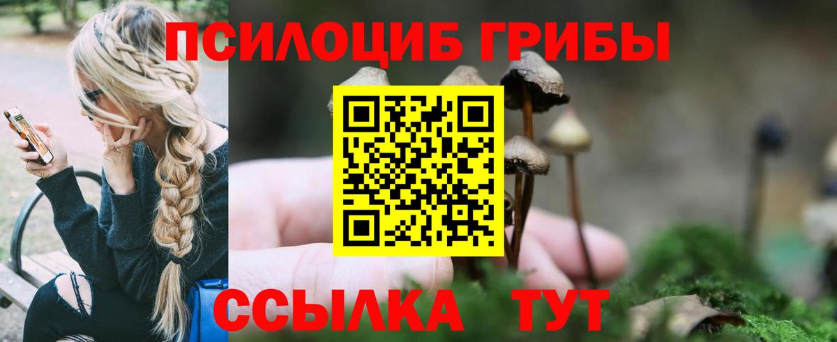 Галлюциногенные грибы GOLDEN TEACHER Кропоткин